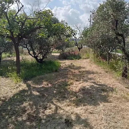 Casa Di Campagna *