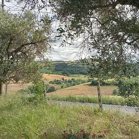 Casa Di Campagna Semesterbostad