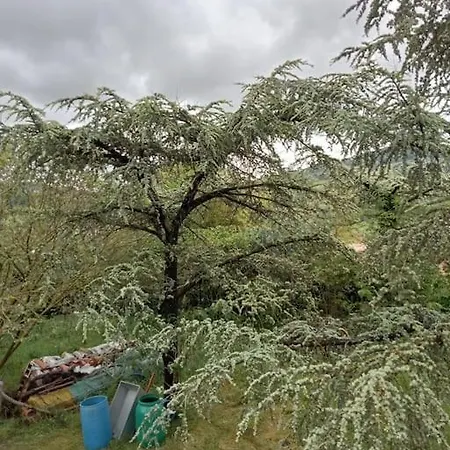 펜션 Casa Di Campagna 몬텔루포네