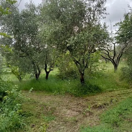 Casa Di Campagna *